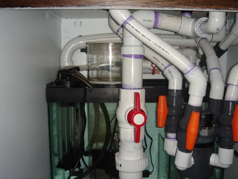 2008_0323100g-square0002.jpg