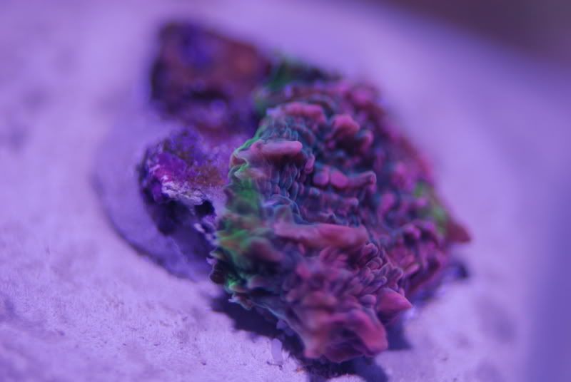 DSC_0359.jpg