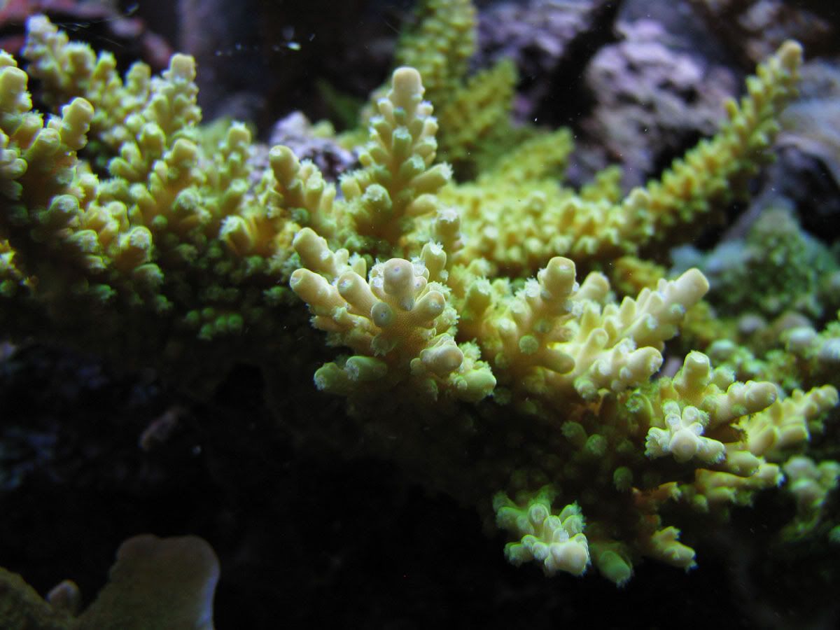IMG_0191.jpg