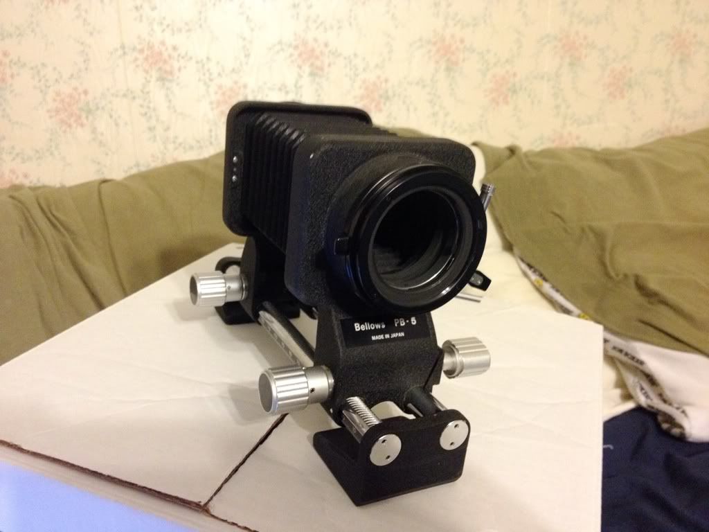 b97d9a50.jpg