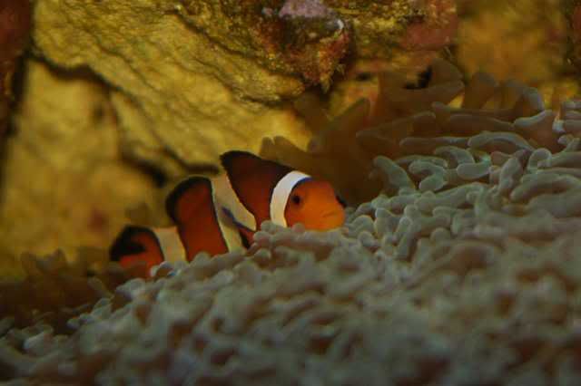 65g_005.jpg