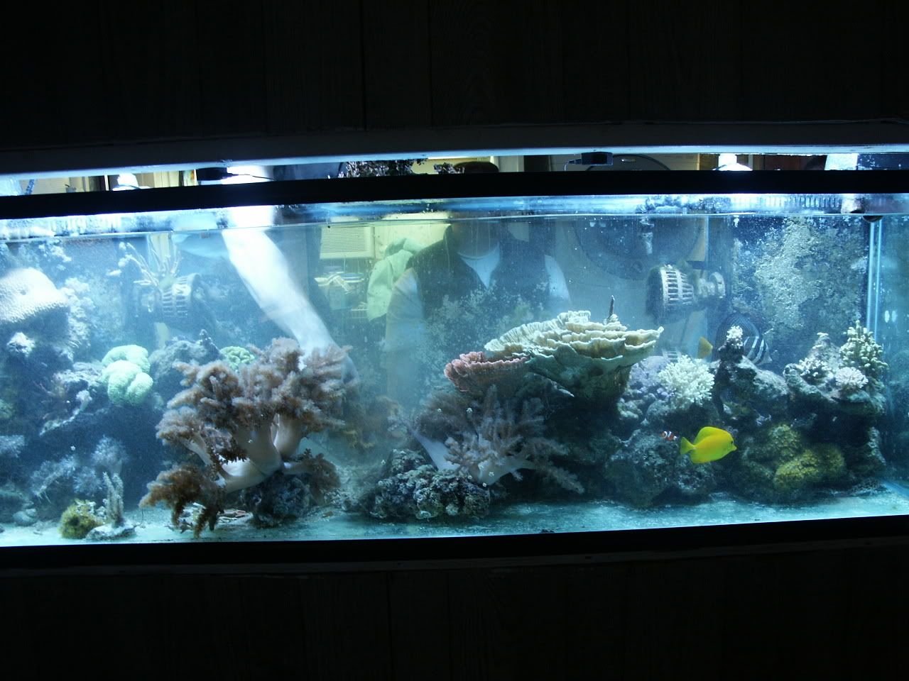PICT0014.jpg