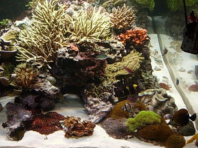 DSCN0157.jpg
