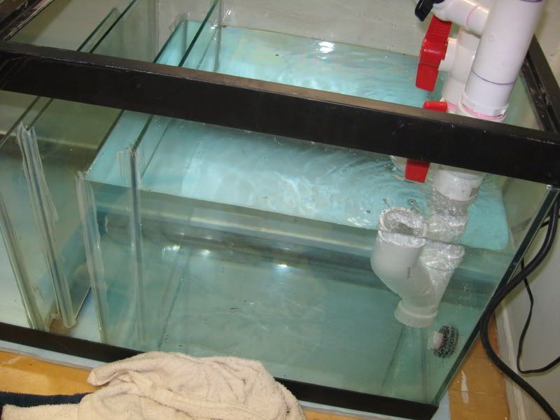 210-Filling003-1.jpg