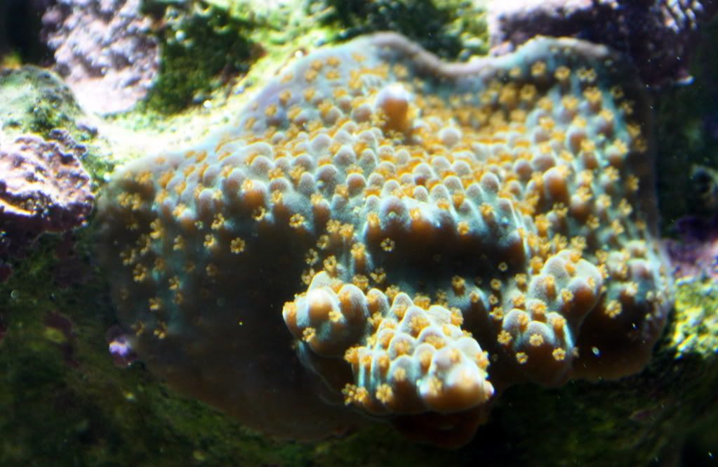 DSC_0354.jpg