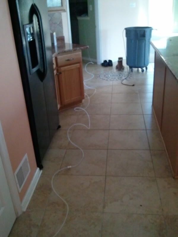 2011-03-27180312.jpg