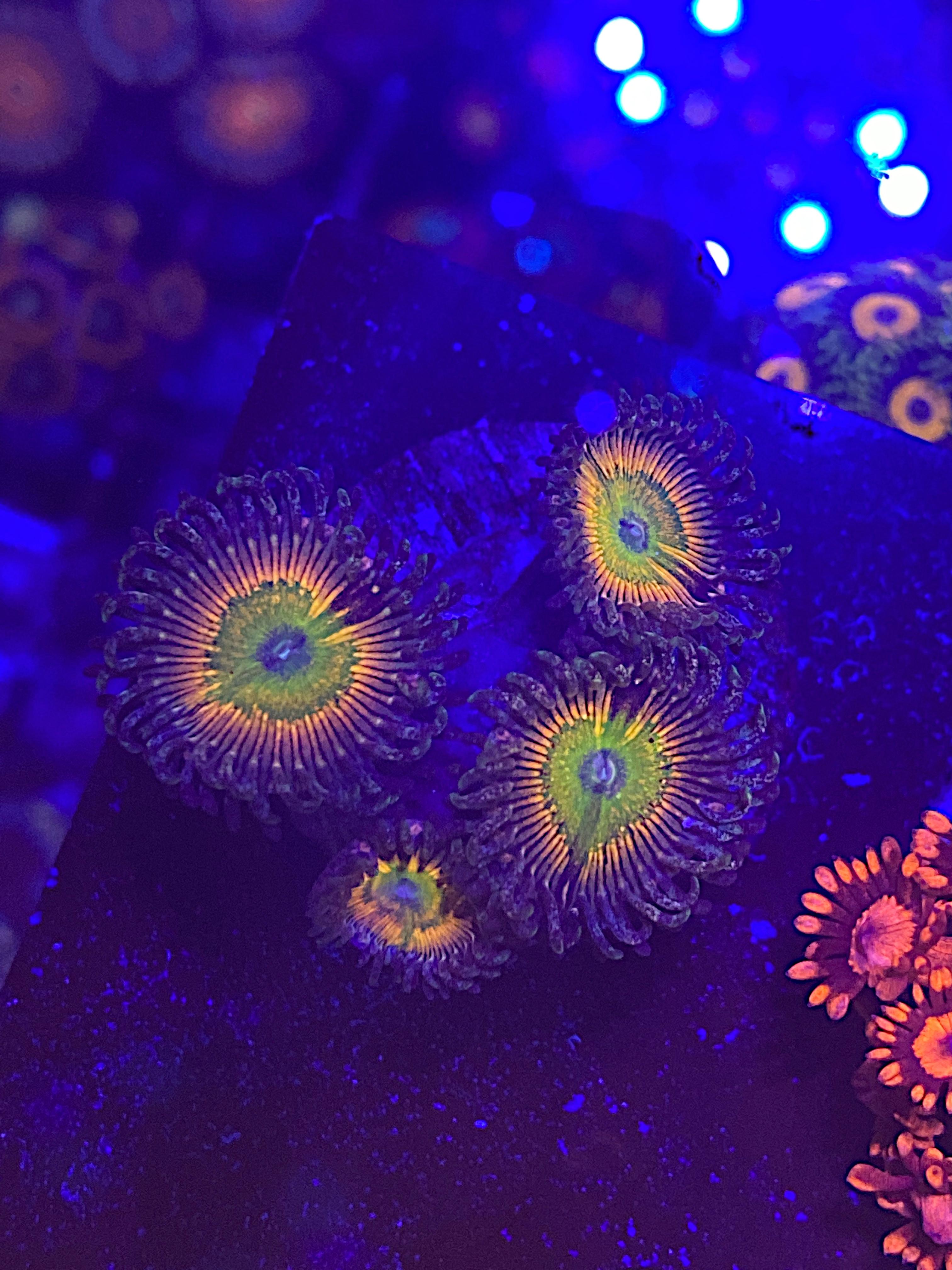 539ca1c6c2d5ece38c59cc839eb1f9e6.jpg