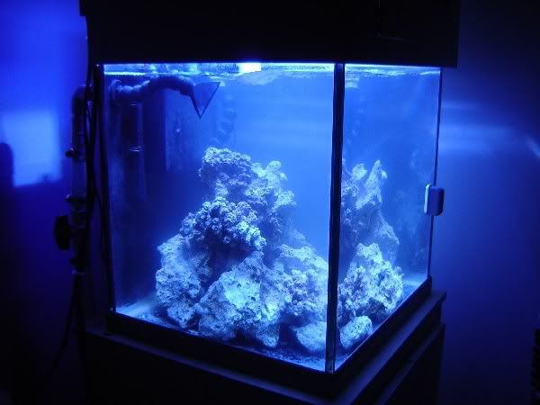 tank5.jpg
