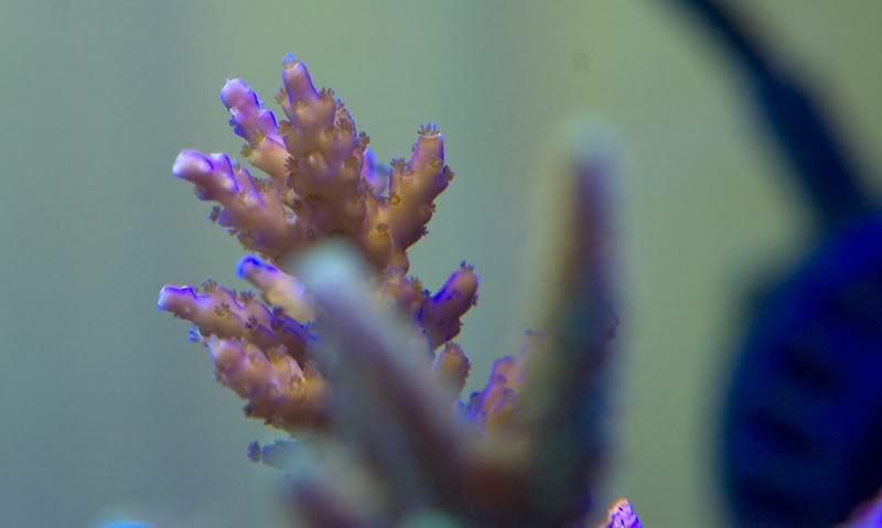 DSC_3658.jpg