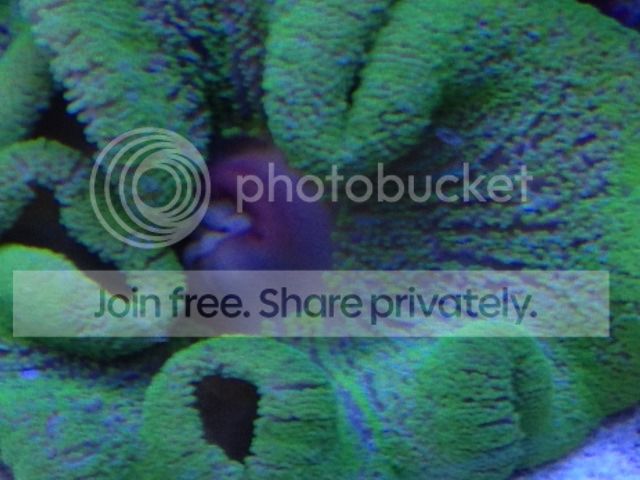 photo11.jpg