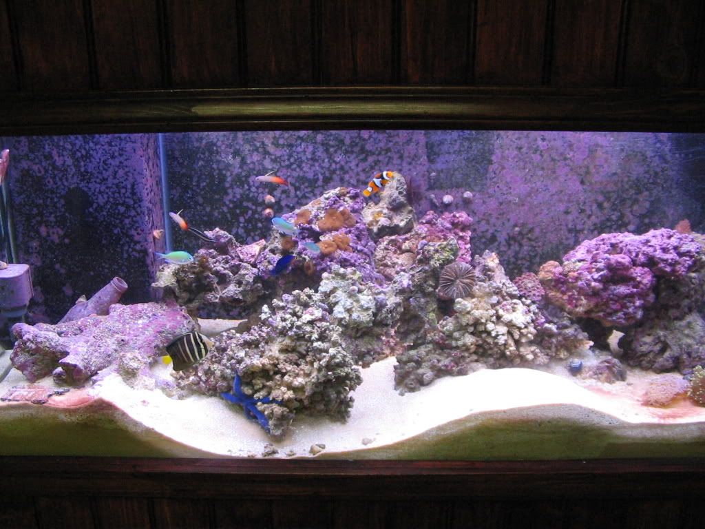 centertank.jpg