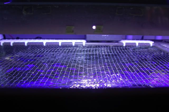 mesh_cover05.jpg