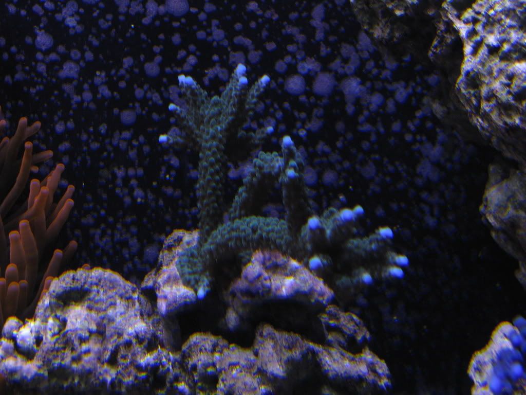 IMG_0391.jpg