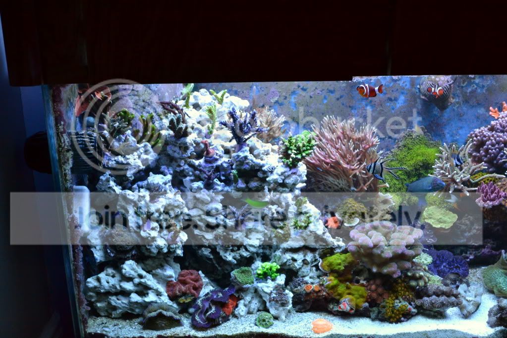 d3100newrockwork029.jpg