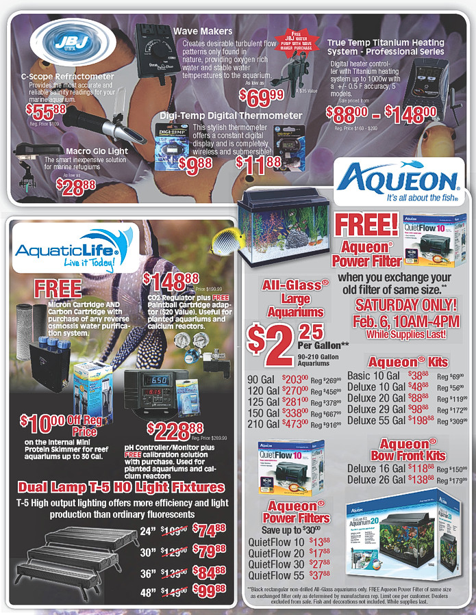 AquariumAdventureTropicalFishSale2.jpg