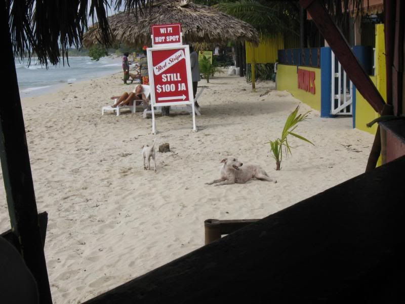 IMG_0850.jpg
