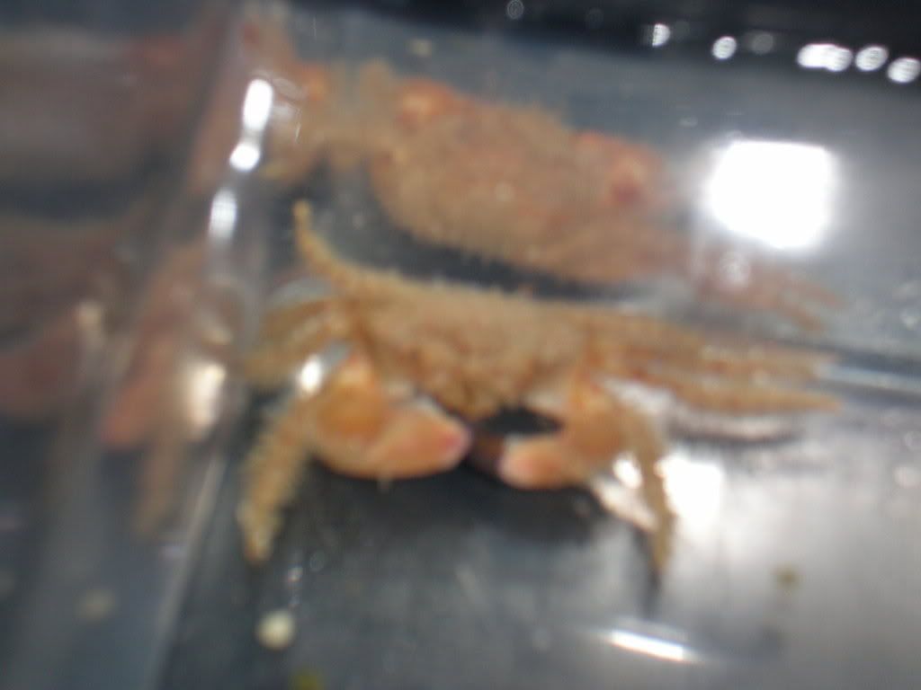 PA050112.jpg