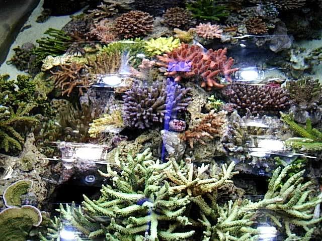 DSCN0273.jpg