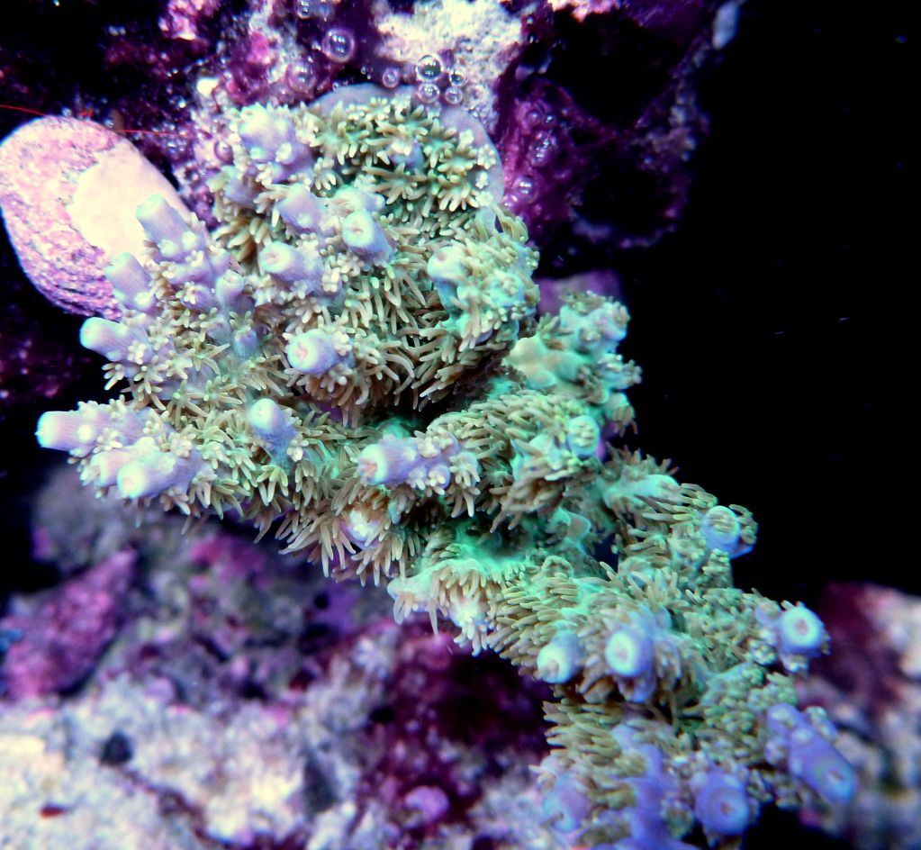 P1020100.jpg