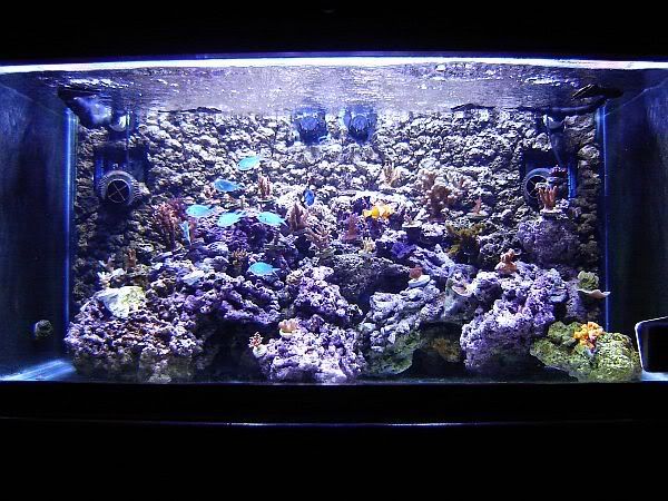 fts2.jpg
