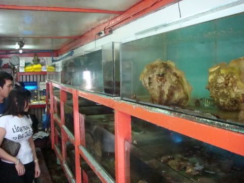 DSC01816.jpg