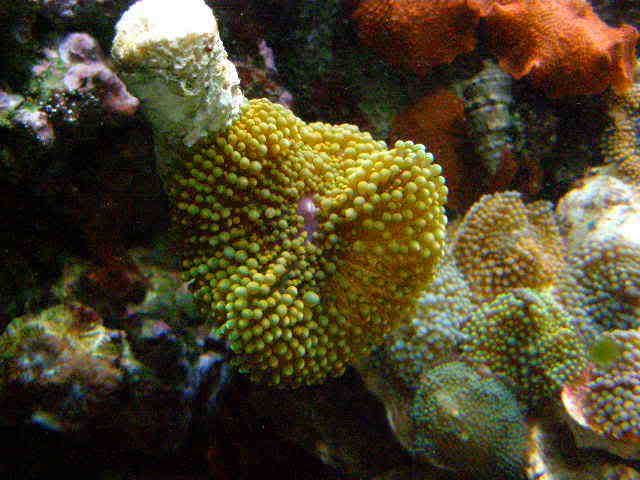 PC210039.jpg