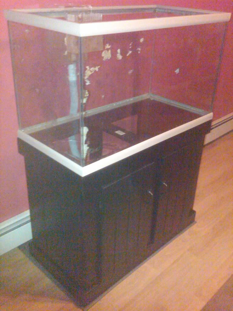 IMG00298-20091122-1843.jpg