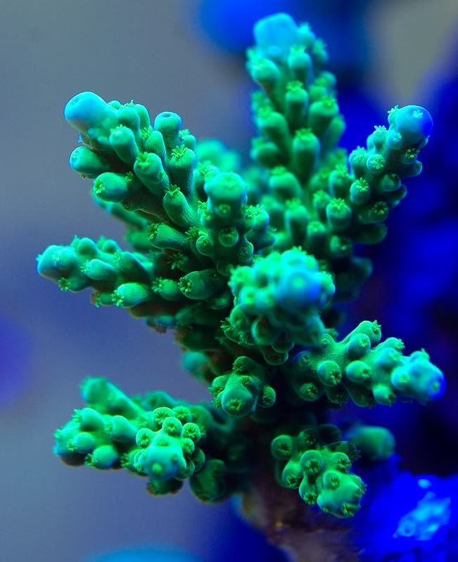 DSC_3652.jpg
