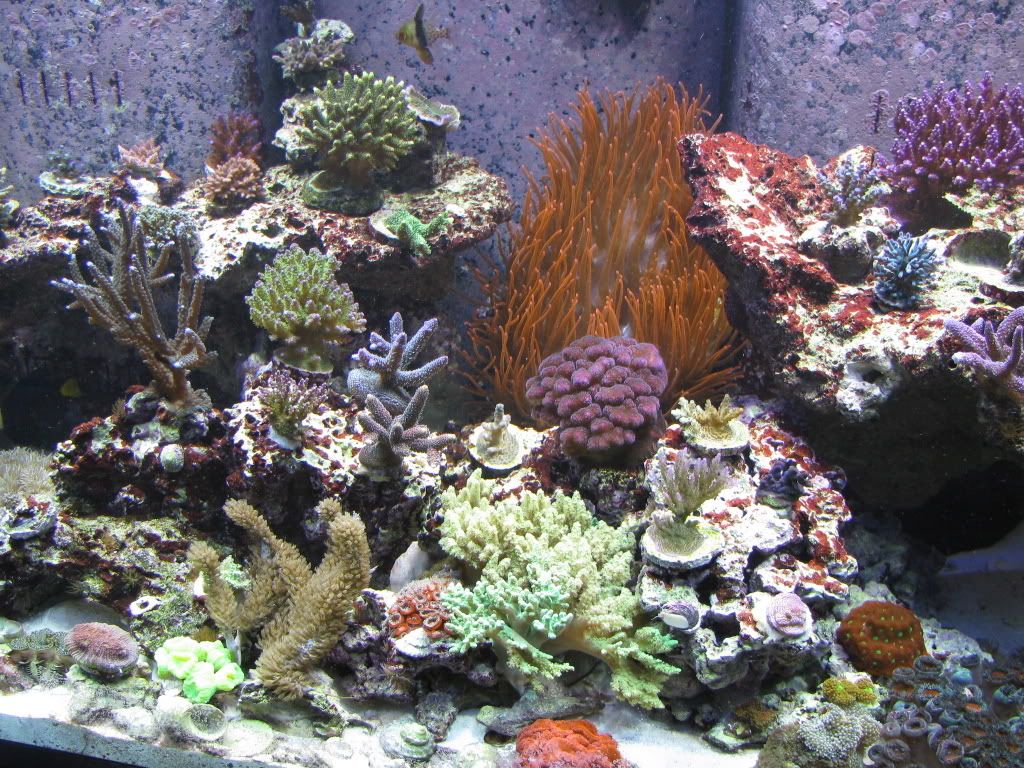 IMG_0171.jpg