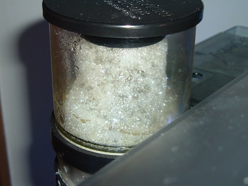 DSCF0348.jpg