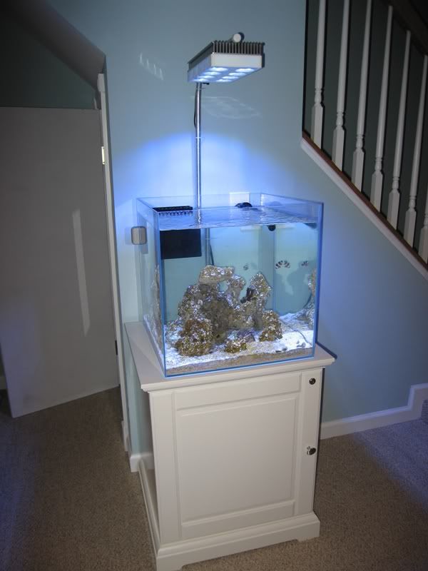 tank18x6.jpg