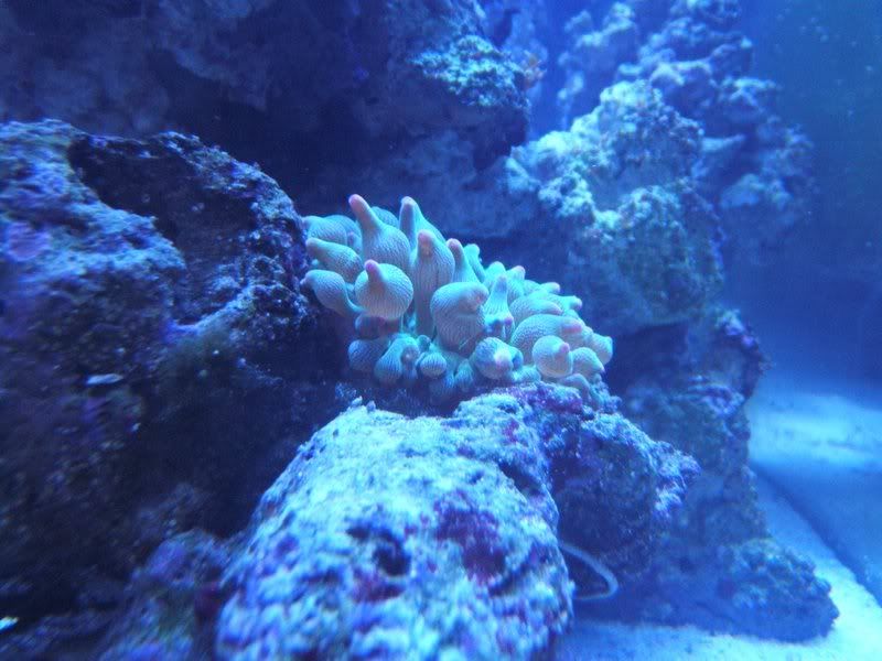 DSCF1090.jpg