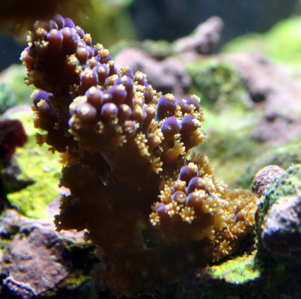 DSC_0353.jpg