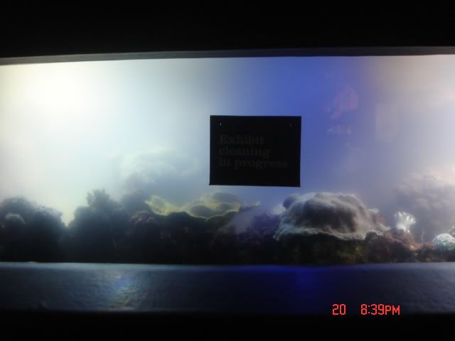 DSC01392.jpg