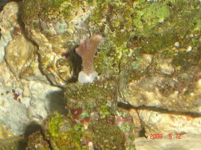 DSC02041Small.jpg