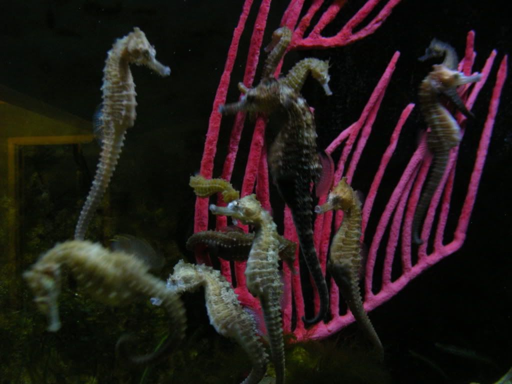 DSCN1718.jpg