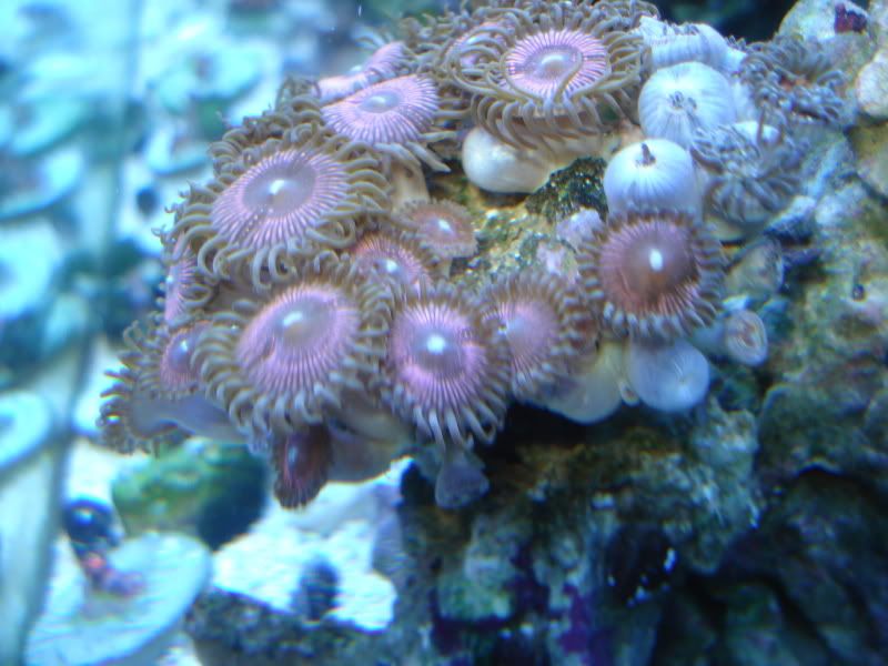fish4-09040.jpg