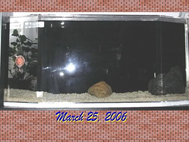 Aquarium30.jpg