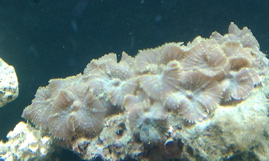 cd1e2b06.jpg
