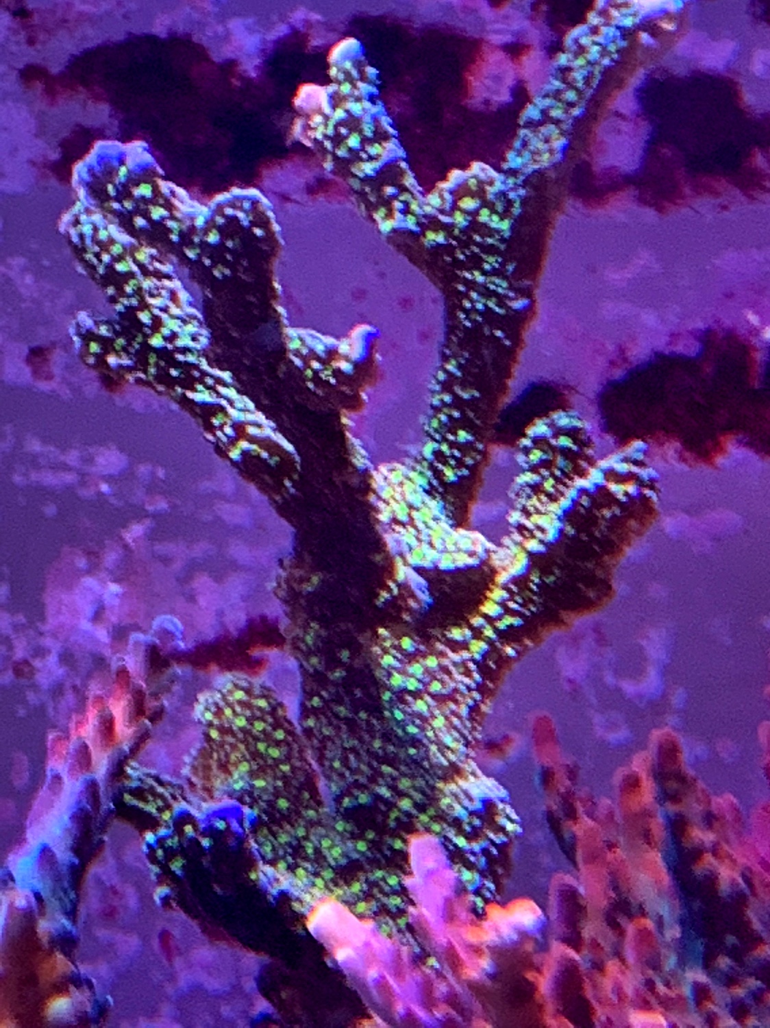 454369ea1c5cc14d1550909ba59f36cb.jpg
