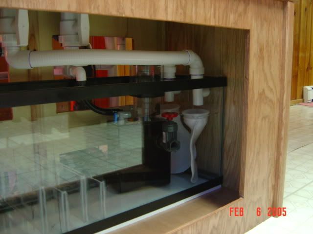 DSC00764.jpg