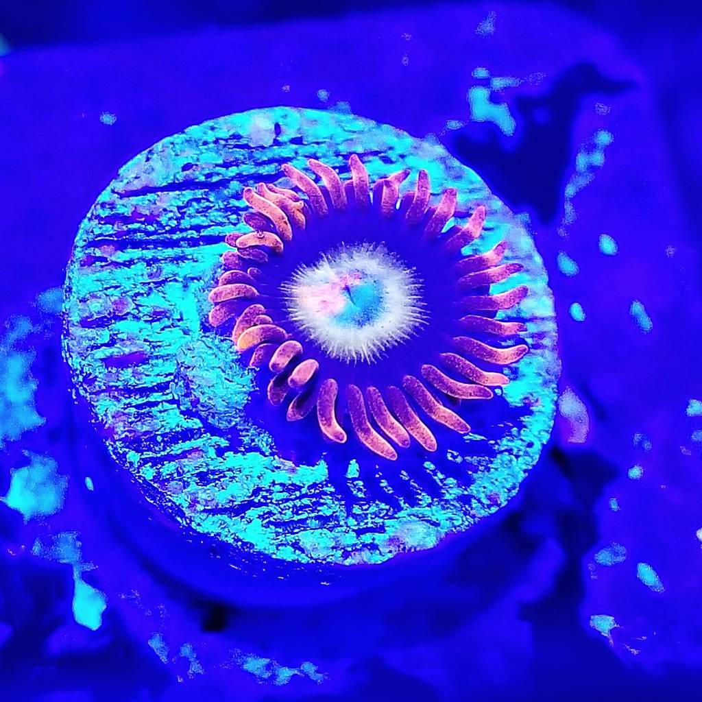732926f7e1a73e304eb43e320f33751a.jpg