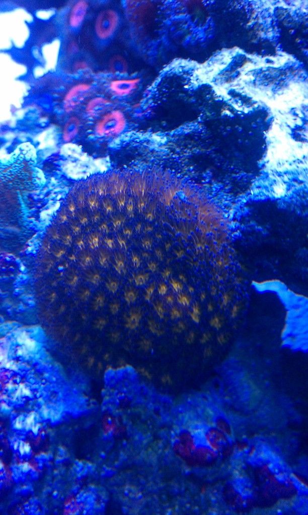 IMAG0802.jpg