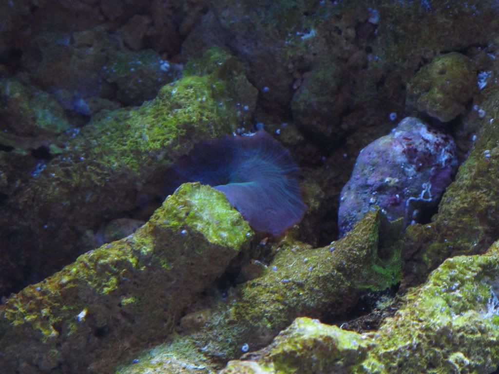 IMG_1442.jpg