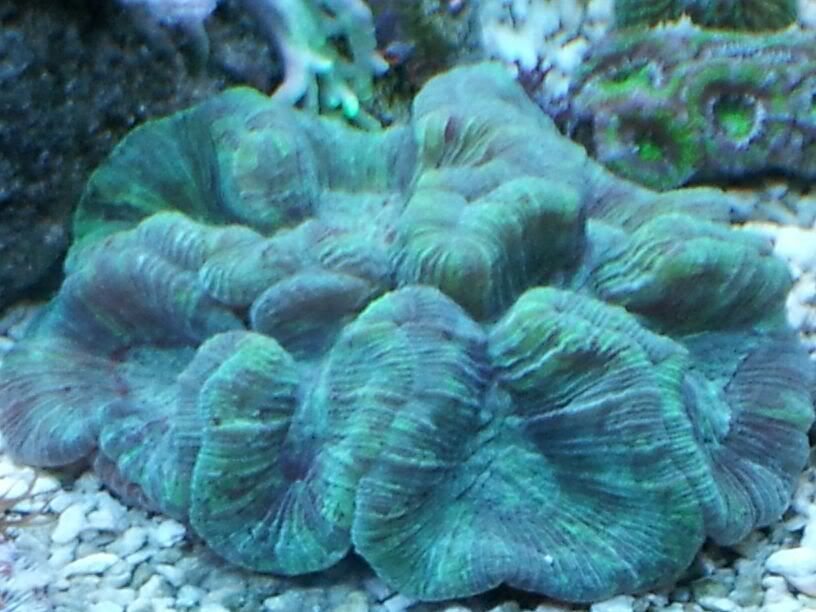 20120406_214455.jpg