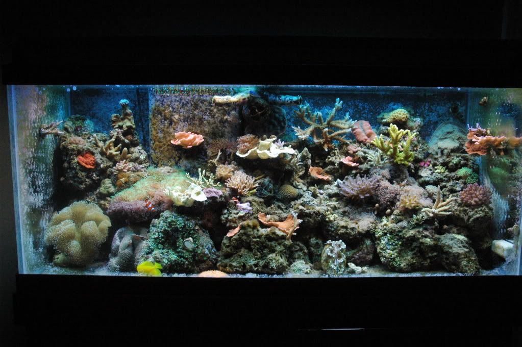DSC_7503.jpg