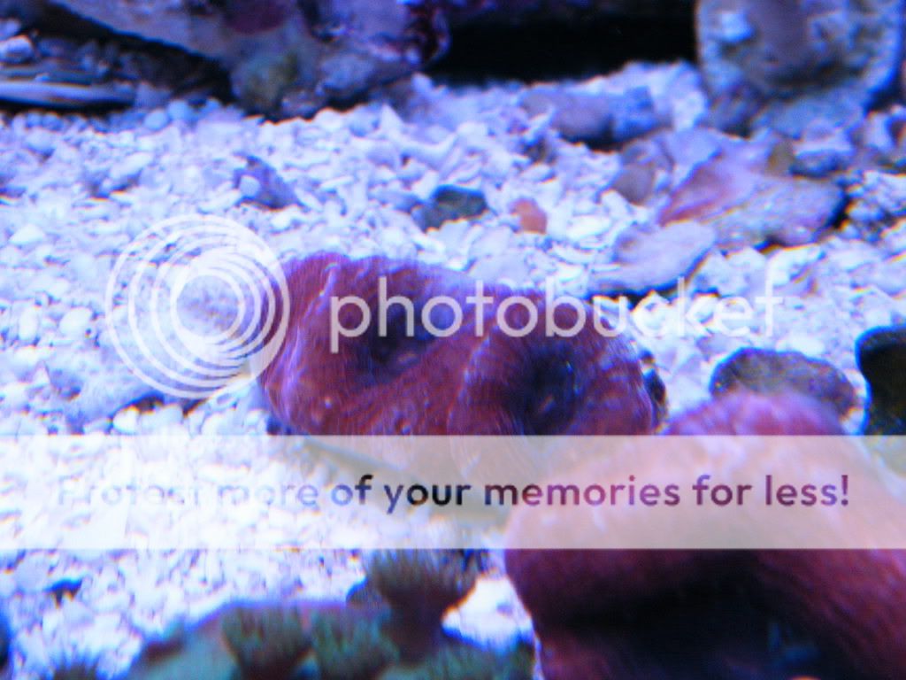DSCF0178.jpg