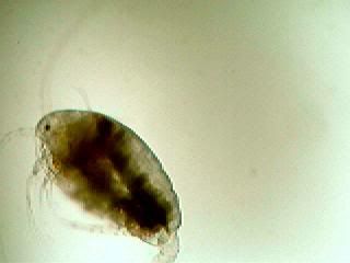 Picture016.jpg