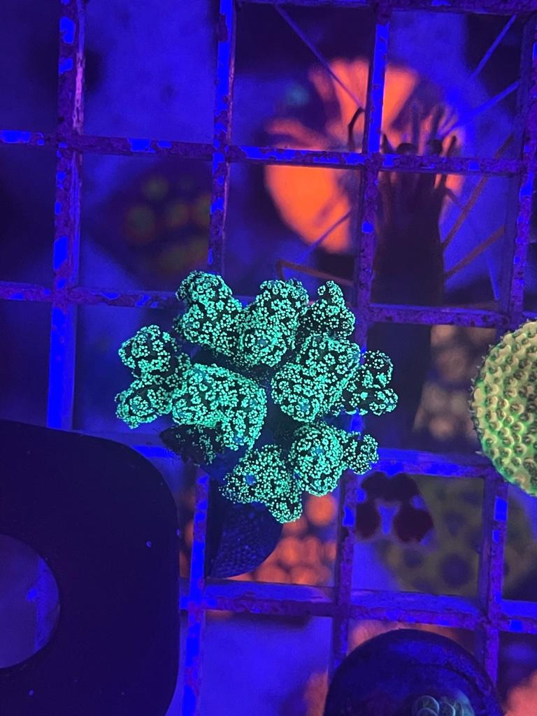 09e1e6548f246269e5174a56e6d6109a.jpg