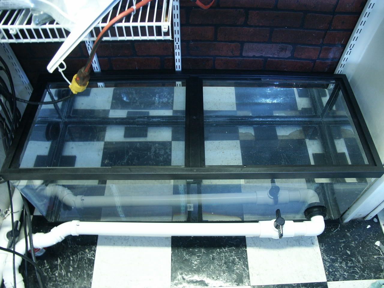 PICT0163.jpg